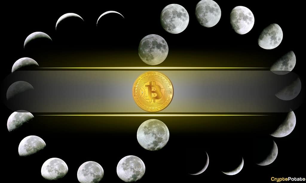 Bitcoin’s 4-Year Cycle Could Be Changing: Willy Woo Reveals What Could Replace It