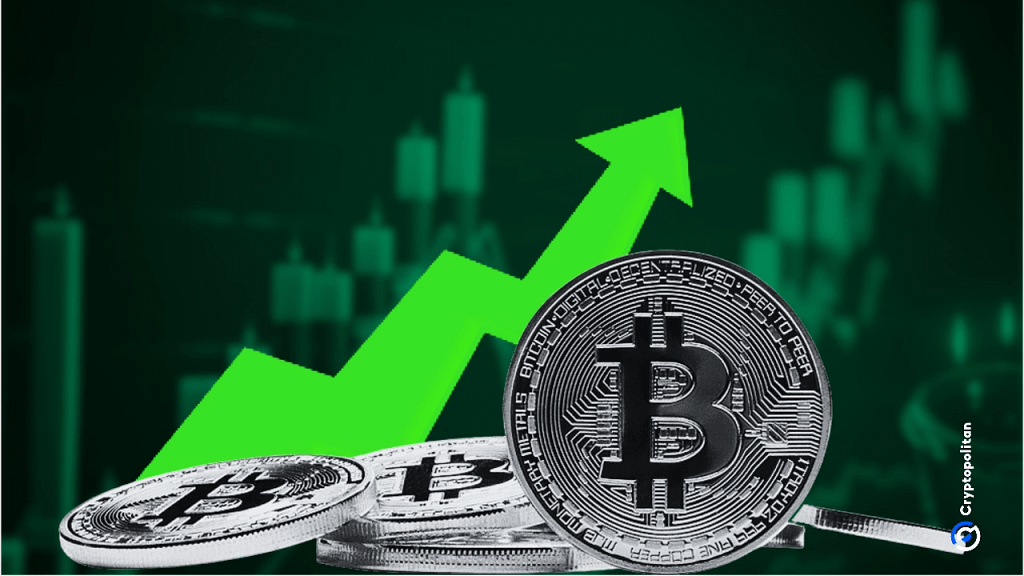 Bitcoin crosses $117K as Ether hits $3,000 and XRP surges by 5%