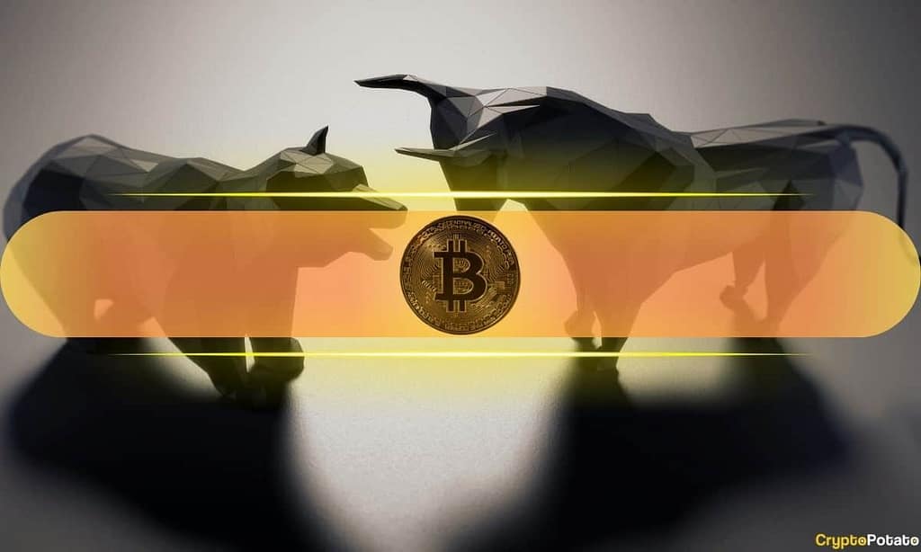 Analyst: BTC’s 50% Drop Could Be Setting Up a 2017-Style Altcoin Rally