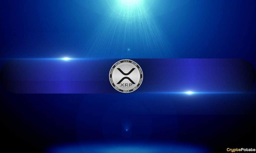 Could Elon Musk’s X Money Use XRP? XRPL Foundation CTO Weighs In