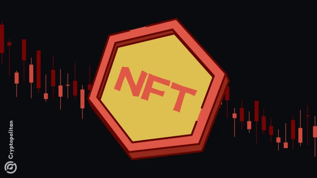 Hype fades as NFT platforms lose users