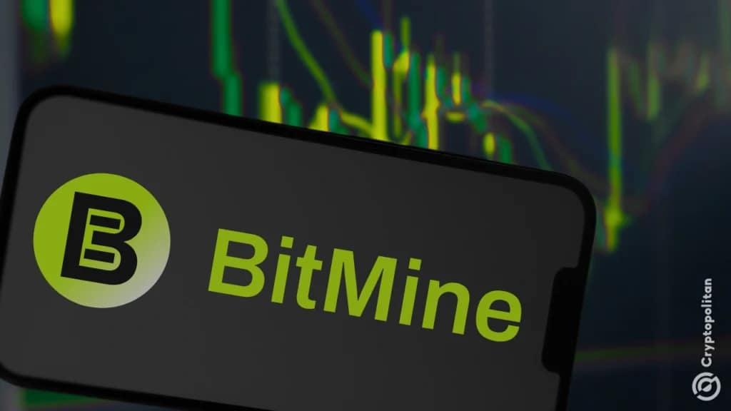 BitMine speeds up acquisitions, despite an industry slowdown
