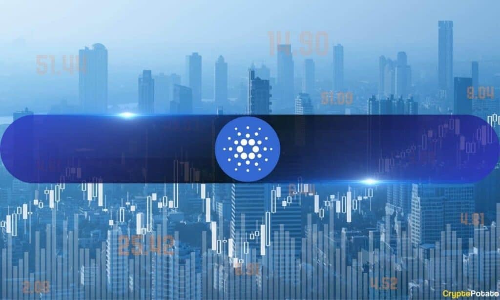 ADA Faces Heavy Pressure, But Cardano’s On-Chain Data Tells Another Story
