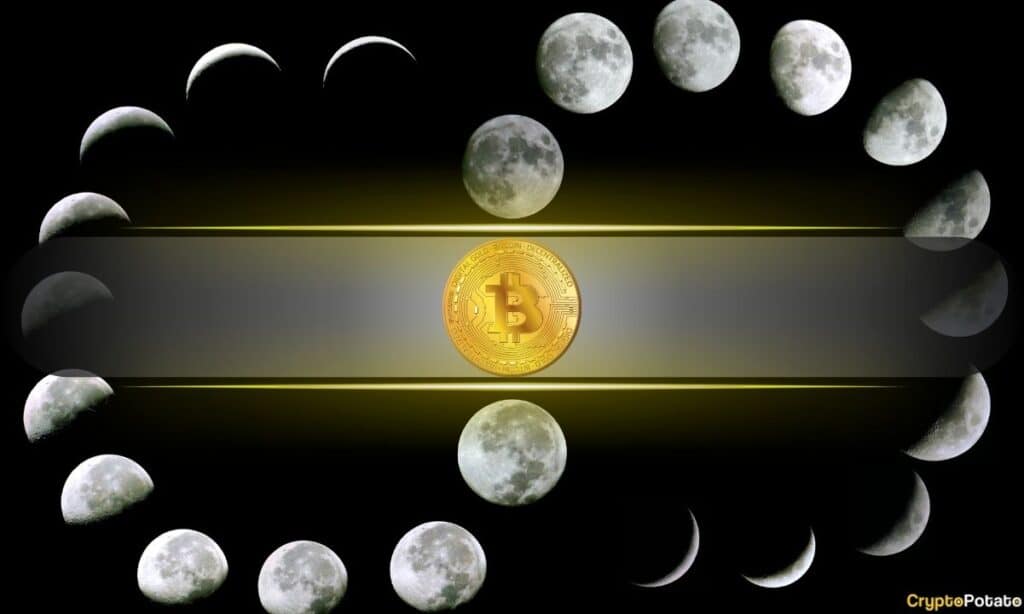 Bitcoin’s 4-Year Cycle Could Be Changing: Willy Woo Reveals What Could Replace It