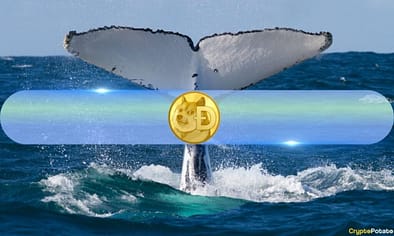 Dogecoin (DOGE) Whales Quietly Accumulate as Holdings Hit Record Levels