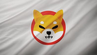 Shiba Inu OI Crashes Over 30%, SHIB Burns Grind To A Halt; Is This The End?