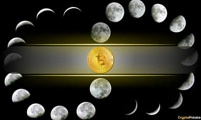 Bitcoin’s 4-Year Cycle Could Be Changing: Willy Woo Reveals What Could Replace It